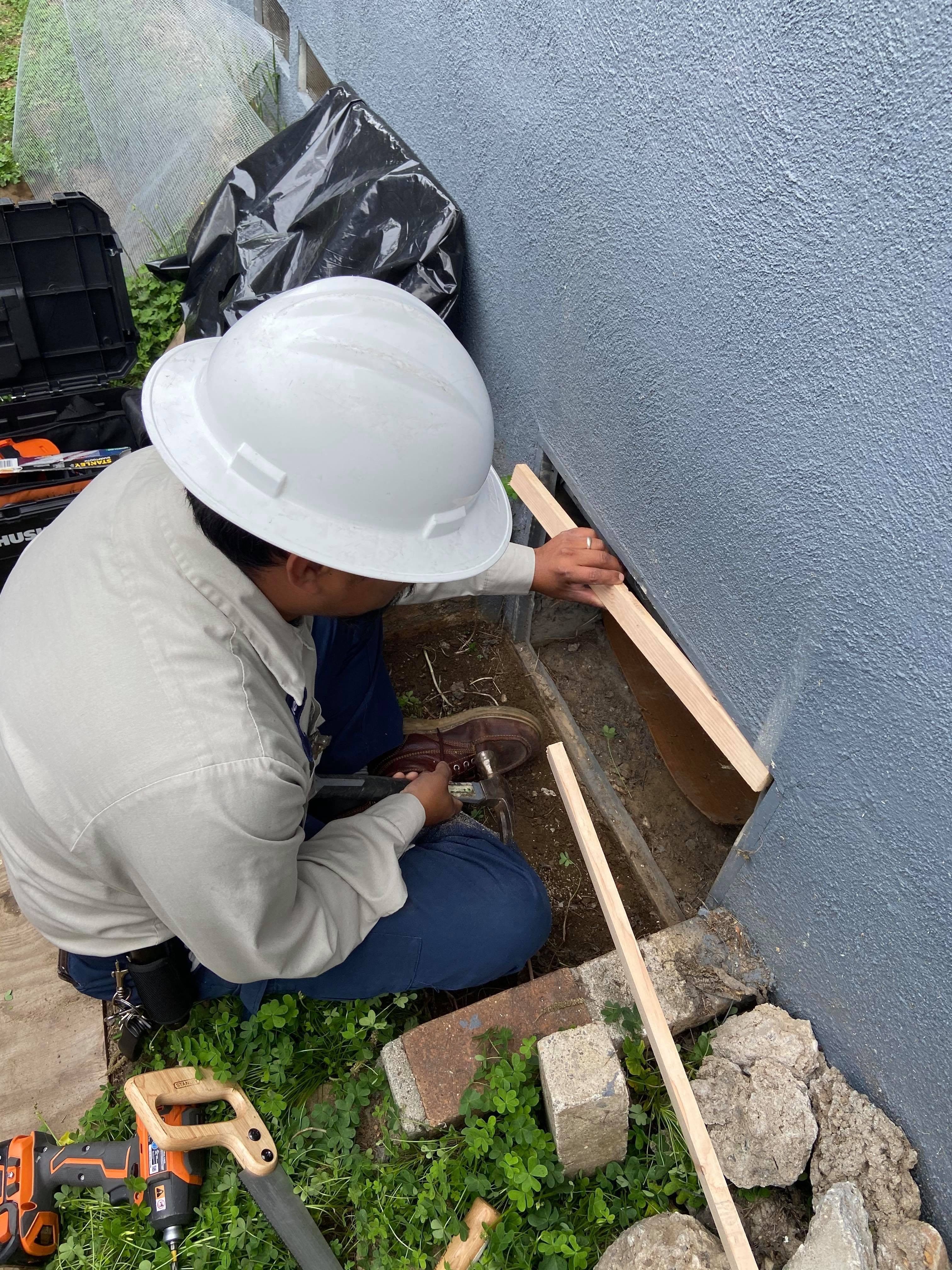 Rodent Proofing